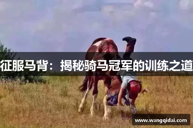 征服马背：揭秘骑马冠军的训练之道