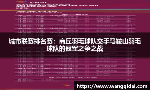 城市联赛排名赛：商丘羽毛球队交手马鞍山羽毛球队的冠军之争之战